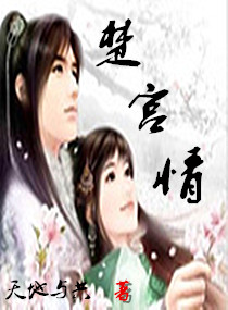 楚宫情